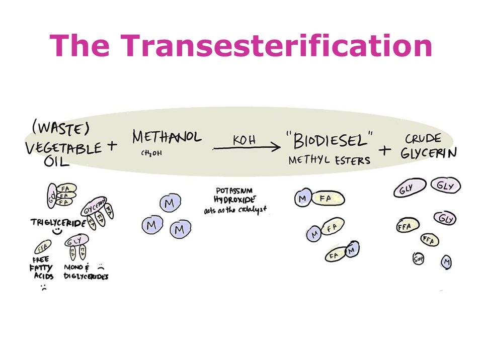 The Transesterification