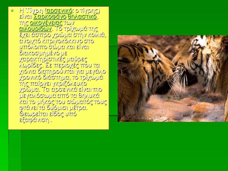 Η Τίγρη (αρσενικό: ο τίγρης) είναι Σαρκοφάγο θηλαστικό, της οικογένειας των αιλουριδών. Το τρίχωμά της έχει άσπρο χρώμα στην κοιλιά, ανοιχτό κιτρινοκόκκινο στο υπόλοιπο σώμα και είναι διακοσμημένο με χαρακτηριστικές μαύρες λωρίδες. Σε περιοχές που τα χιόνια διατηρούνται για μεγάλο χρονικό διάστημα, το τρίχωμά της παίρνει γκριζόλευκο χρώμα. Τα αρσενικά είναι πιο μεγαλόσωμα από τα θηλυκά και το μήκος του σώματός τους φτάνει τα δυόμισι μέτρα. Θεωρείται είδος υπό εξαφάνιση .