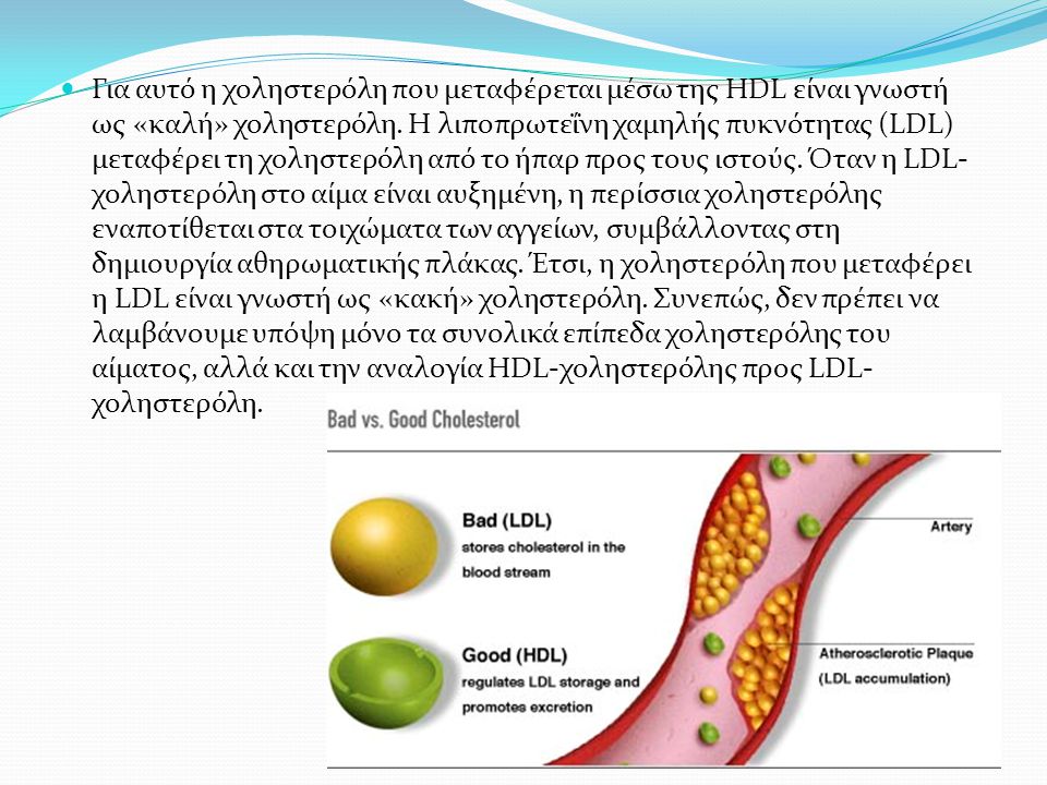 Για αυτό η χοληστερόλη που μεταφέρεται μέσω της HDL είναι γνωστή ως «καλή» χοληστερόλη.