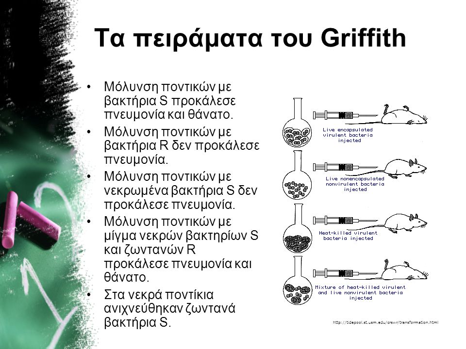 Τα πειράματα του Griffith