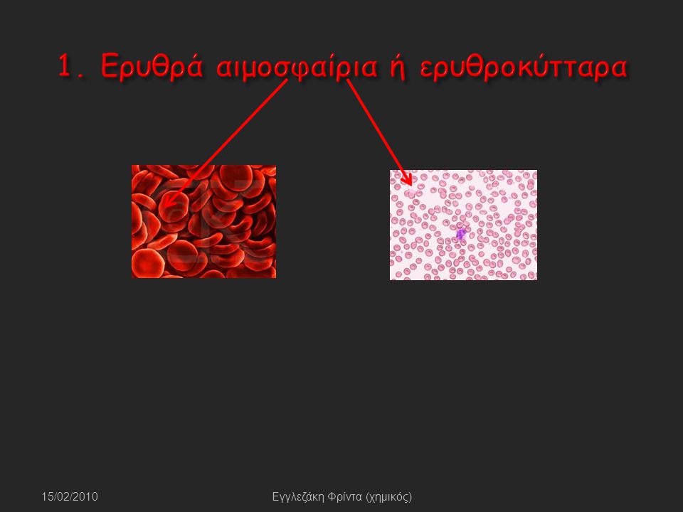 1. Ερυθρά αιμοσφαίρια ή ερυθροκύτταρα