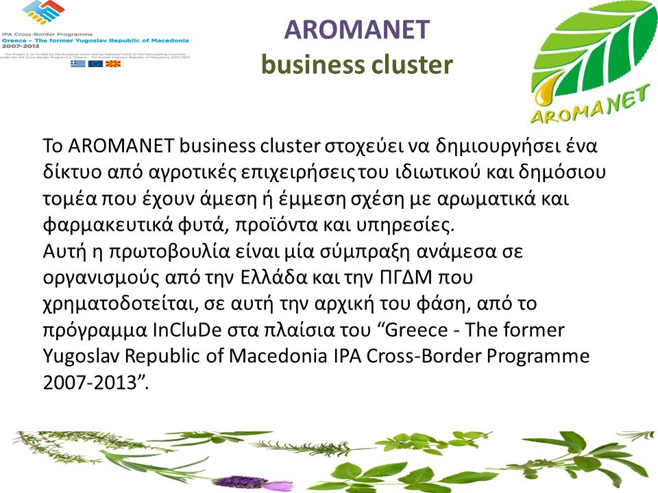 AROMANET business cluster