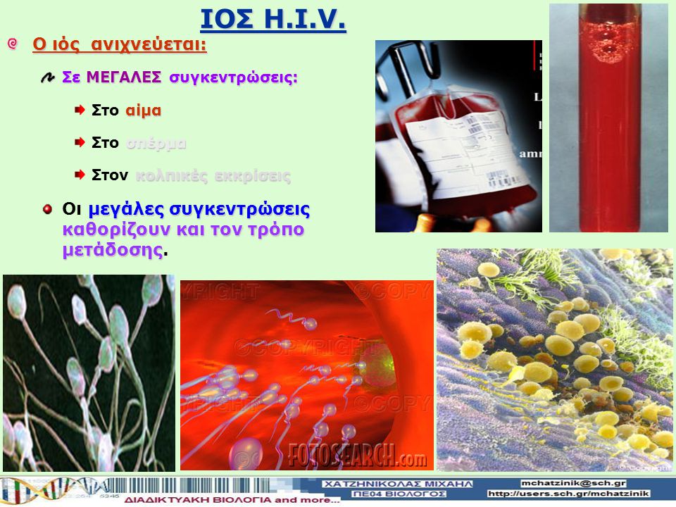 IOΣ H.I.V. Ο ιός ανιχνεύεται:
