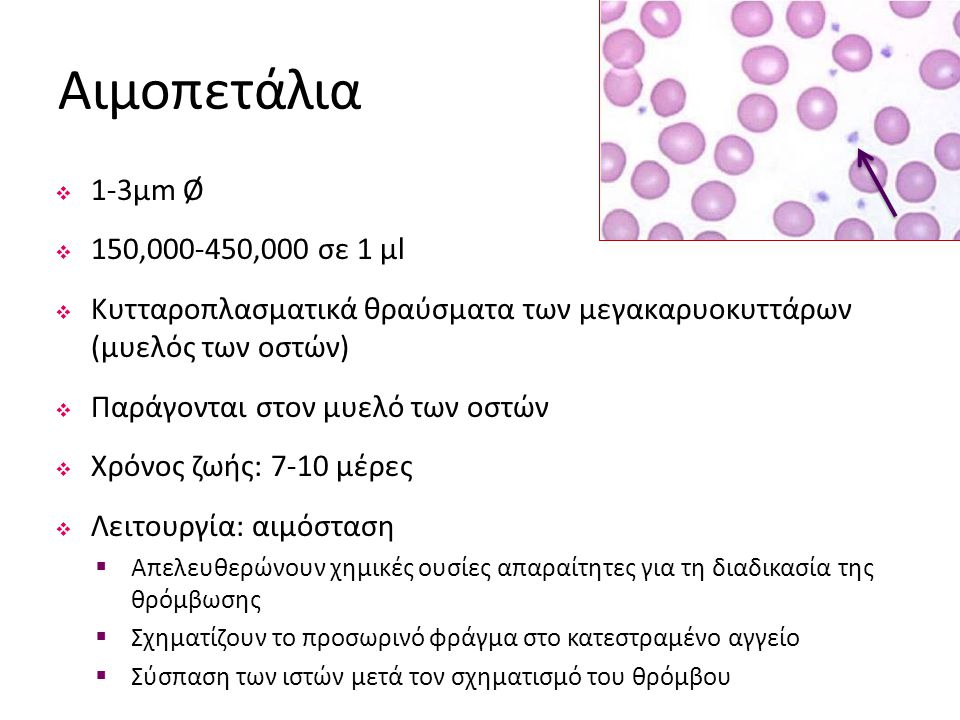 Αιμοπετάλια 1-3µm Ø 150, ,000 σε 1 µl