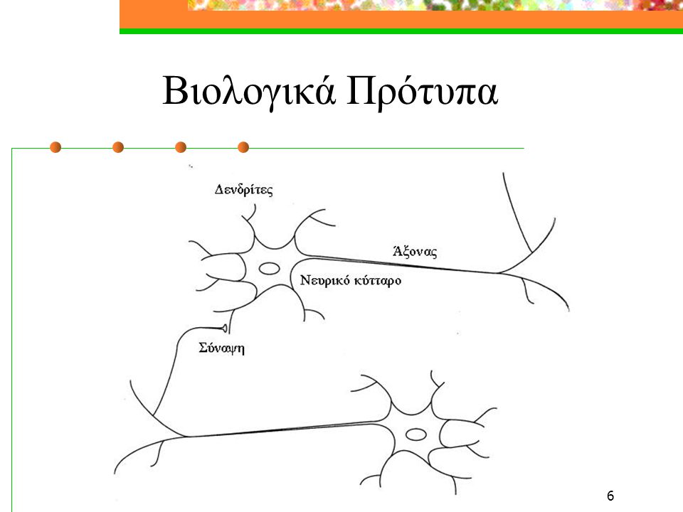 Βιολογικά Πρότυπα Για τις ανάγκες που καλύπτει αυτό το κείμενο, οι νευρώνες έχουν τρία βασικά εξαρτήματα :