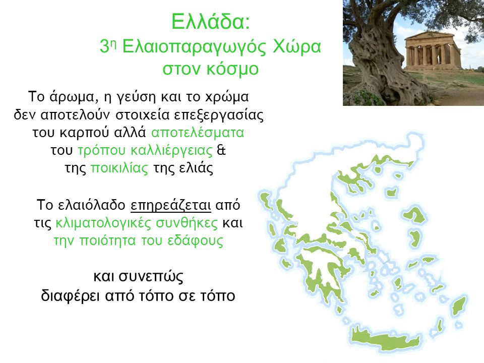 Ελλάδα: 3η Ελαιοπαραγωγός Χώρα στον κόσμο και συνεπώς