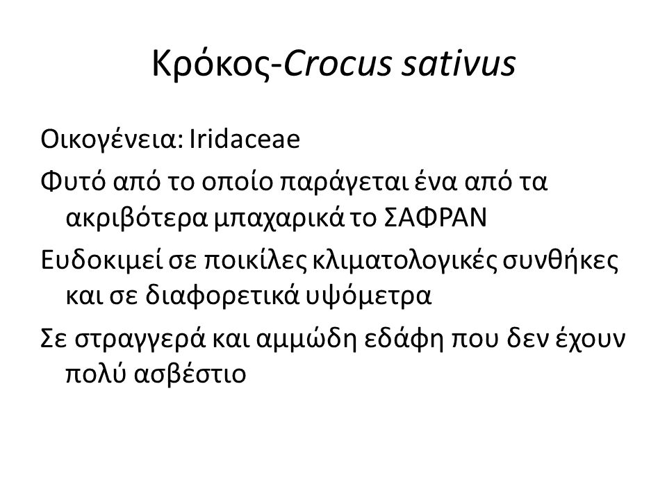 Κρόκος-Crocus sativus