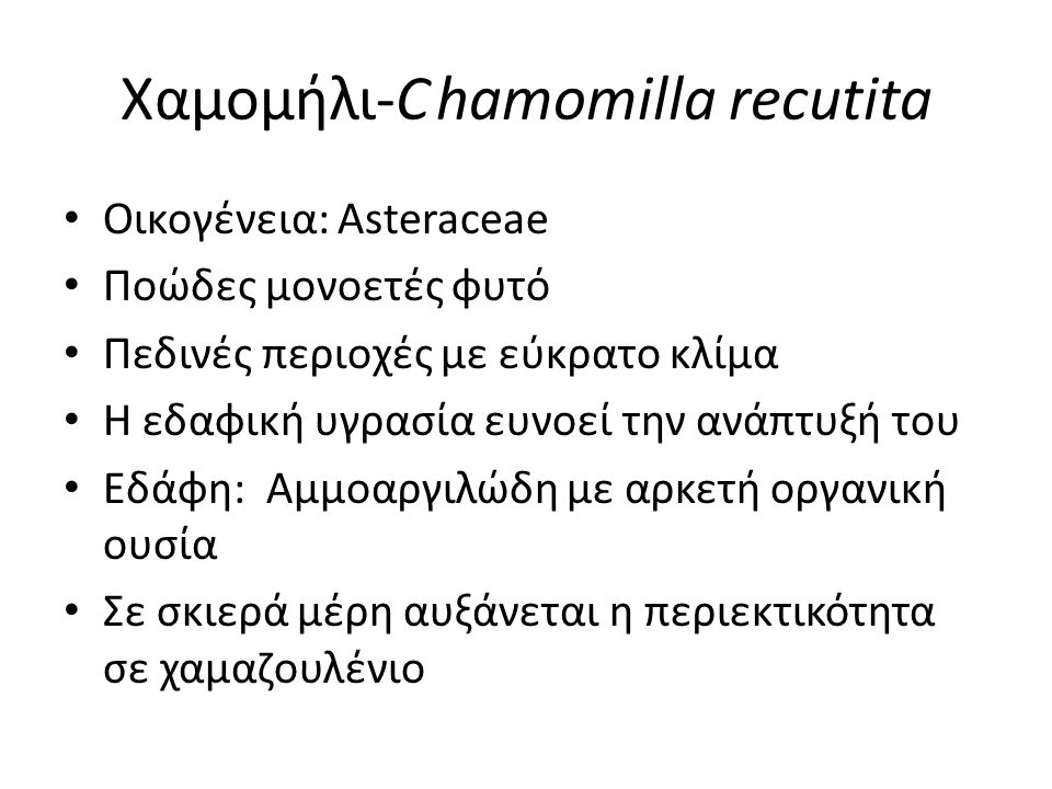 Χαμομήλι-C hamomilla recutita