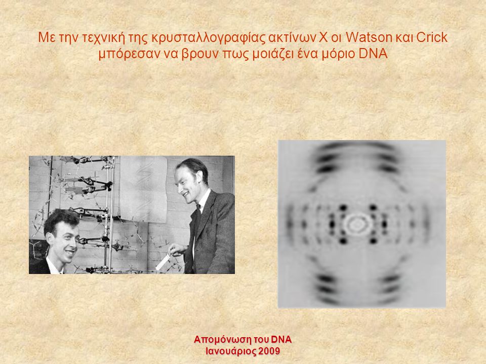 Με την τεχνική της κρυσταλλογραφίας ακτίνων Χ οι Watson και Crick μπόρεσαν να βρουν πως μοιάζει ένα μόριο DNA