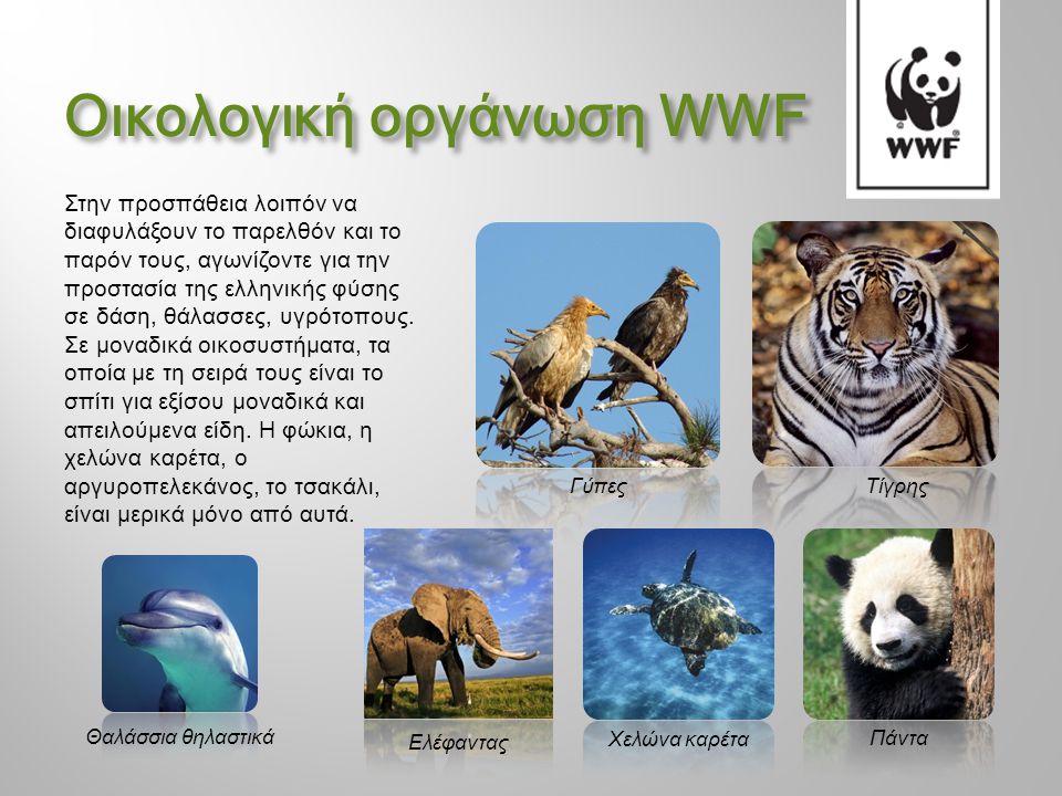 Οικολογική οργάνωση WWF