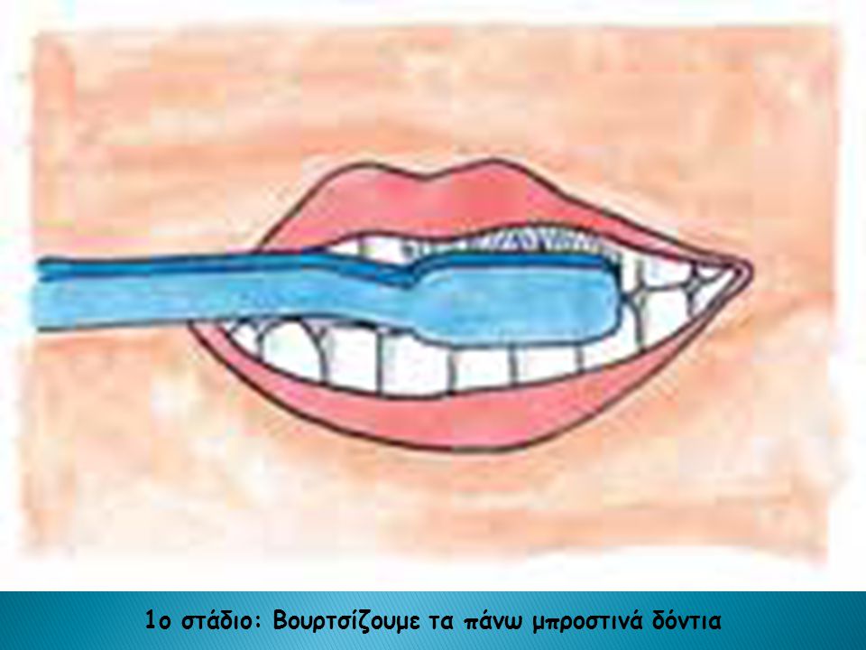 1ο στάδιο: Βουρτσίζουμε τα πάνω μπροστινά δόντια
