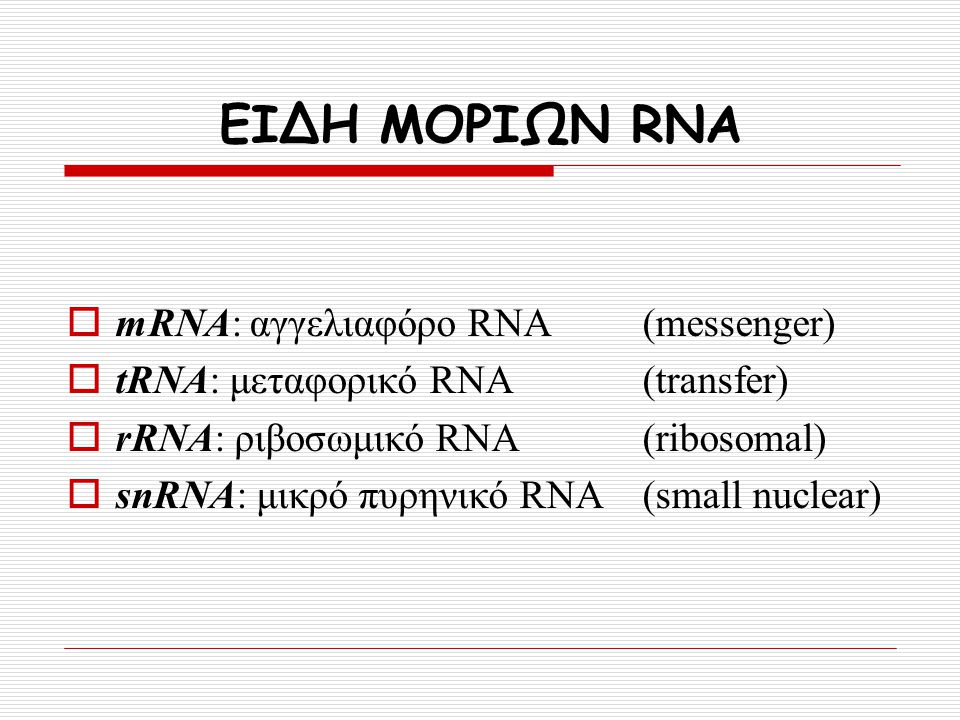 ΕΙΔΗ ΜΟΡΙΩΝ RNA mRNA: αγγελιαφόρο RNA (messenger)