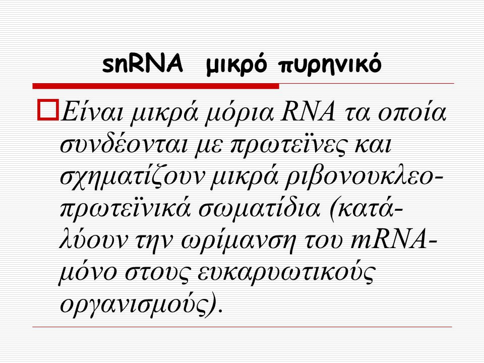 snRNA μικρό πυρηνικό