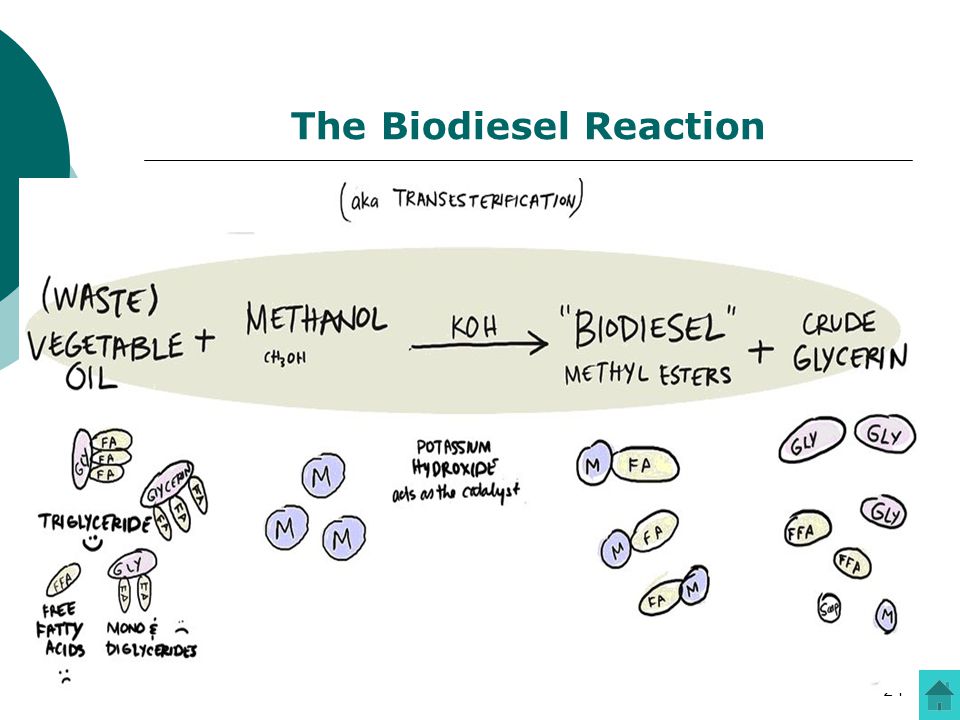 The Biodiesel Reaction