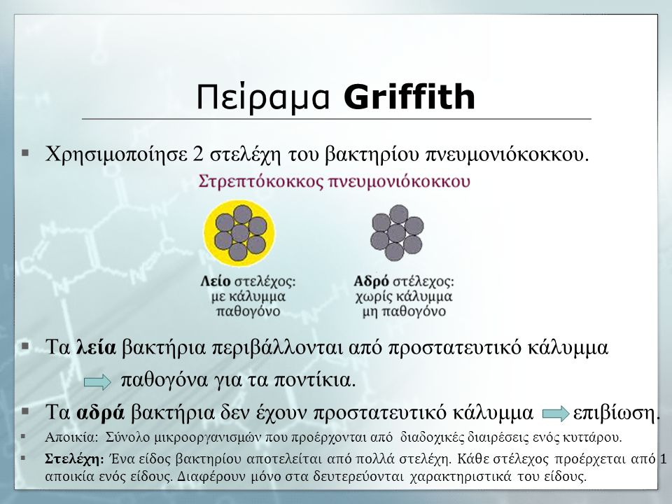 Πείραμα Griffith Χρησιμοποίησε 2 στελέχη του βακτηρίου πνευμονιόκοκκου. Τα λεία βακτήρια περιβάλλονται από προστατευτικό κάλυμμα.