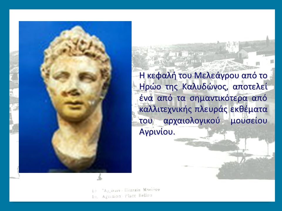 Η κεφαλή του Μελεάγρου από το Ηρώο της Καλυδώνος, αποτελεί ένα από τα σημαντικότερα από καλλιτεχνικής πλευράς εκθέματα του αρχαιολογικού μουσείου Αγρινίου.