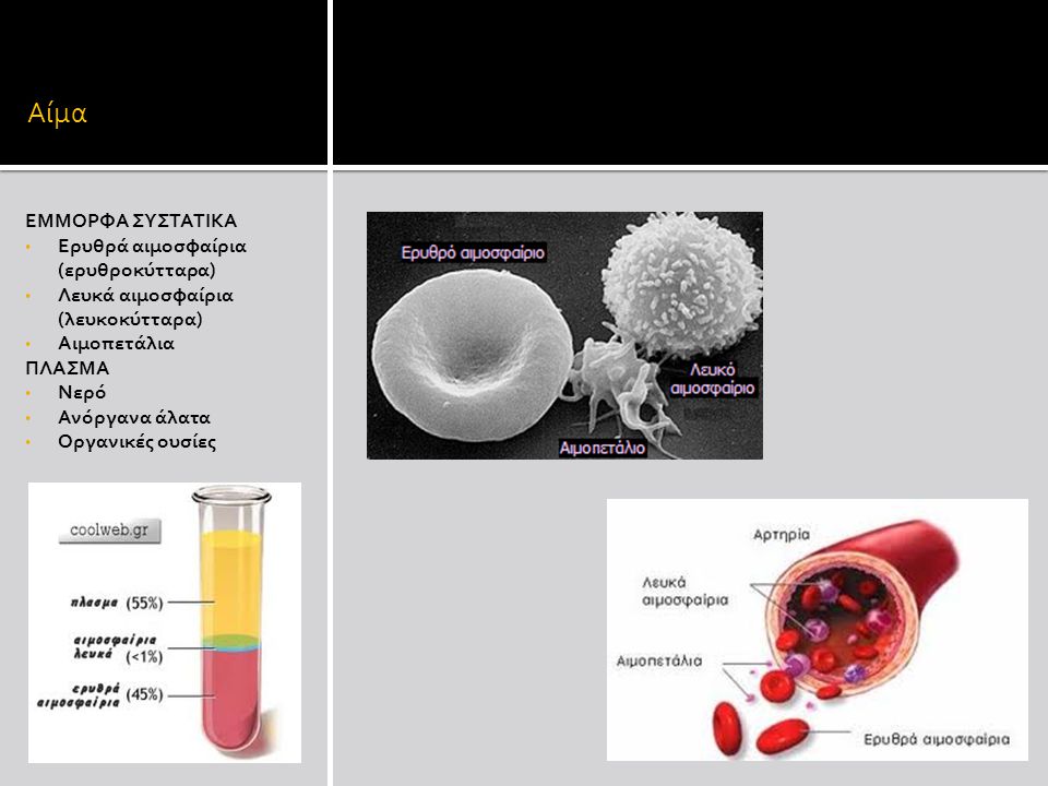 Αίμα ΕΜΜΟΡΦΑ ΣΥΣΤΑΤΙΚΑ Ερυθρά αιμοσφαίρια (ερυθροκύτταρα)
