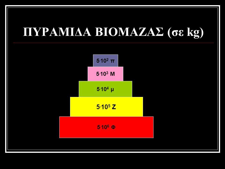 ΠΥΡΑΜΙΔΑ ΒΙΟΜΑΖΑΣ (σε kg)