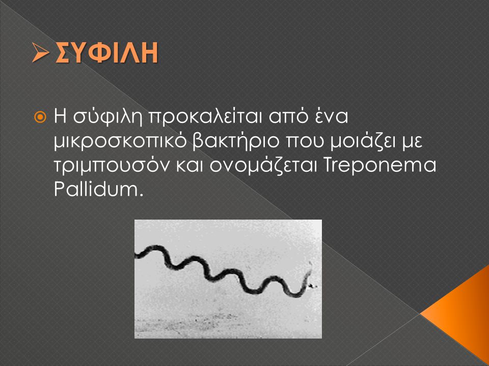 ΣΥΦΙΛΗ Η σύφιλη προκαλείται από ένα μικροσκοπικό βακτήριο που μοιάζει με τριμπουσόν και ονομάζεται Treponema Pallidum.