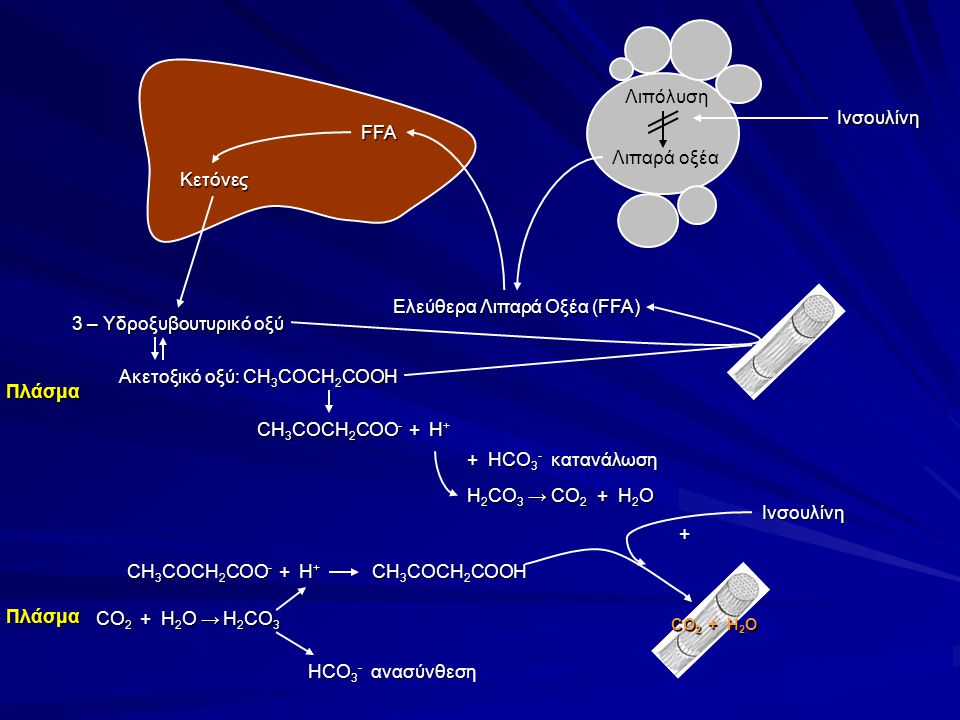 Ελεύθερα Λιπαρά Οξέα (FFA) 3 – Υδροξυβουτυρικό οξύ