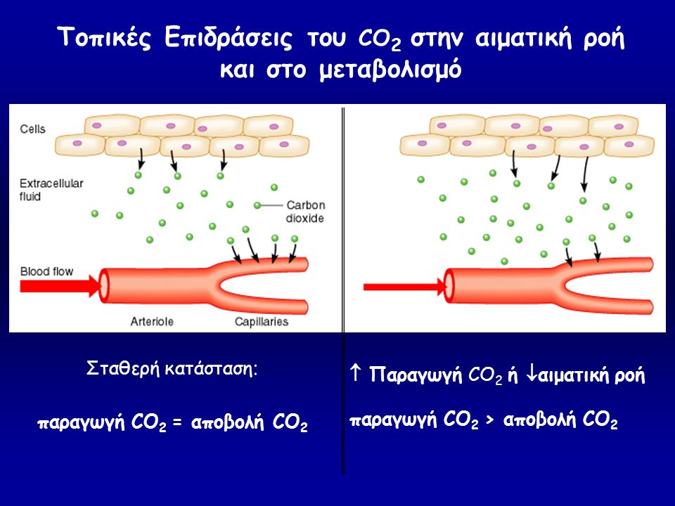 Τοπικές Επιδράσεις του CO2 στην αιματική ροή