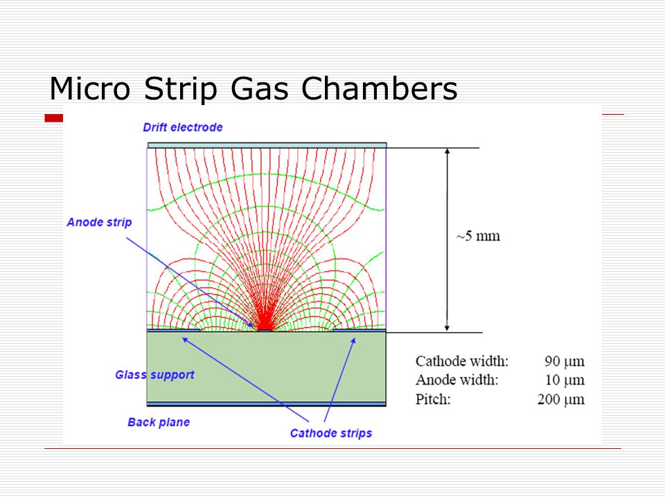Micro Strip Gas Chambers