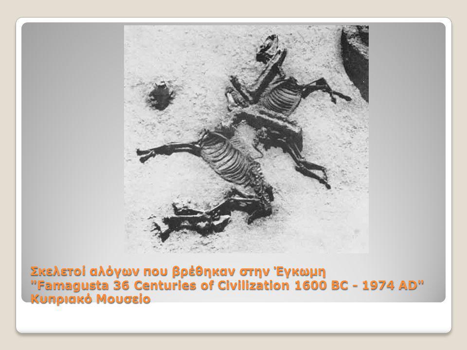Σκελετοί αλόγων που βρέθηκαν στην Έγκωμη Famagusta 36 Centuries of Civilization 1600 BC AD Κυπριακό Μουσείο