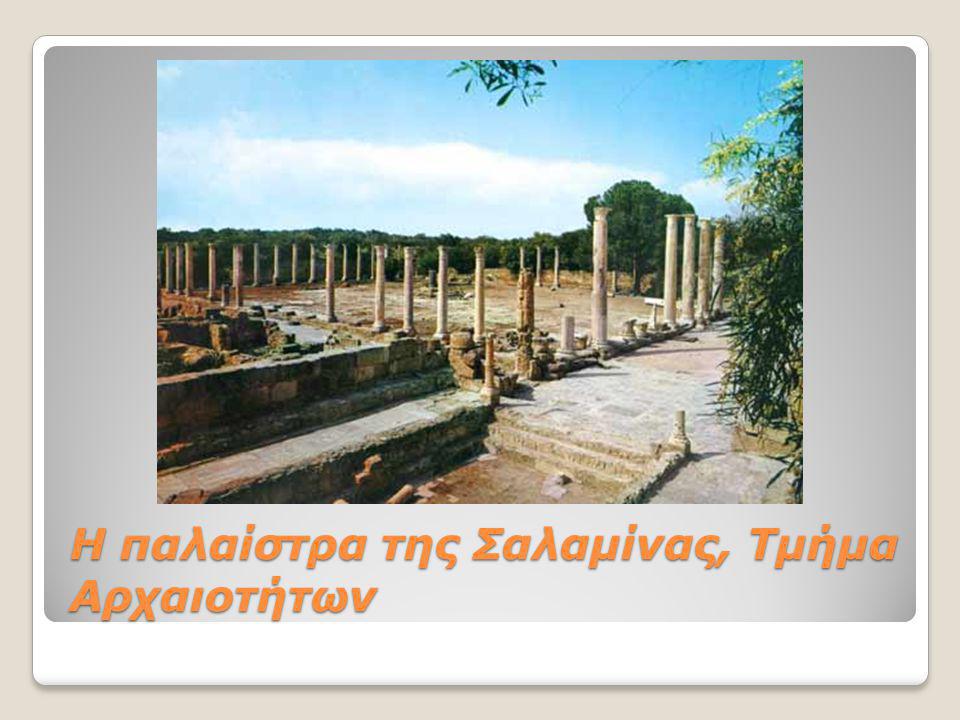 Η παλαίστρα της Σαλαμίνας, Τμήμα Αρχαιοτήτων