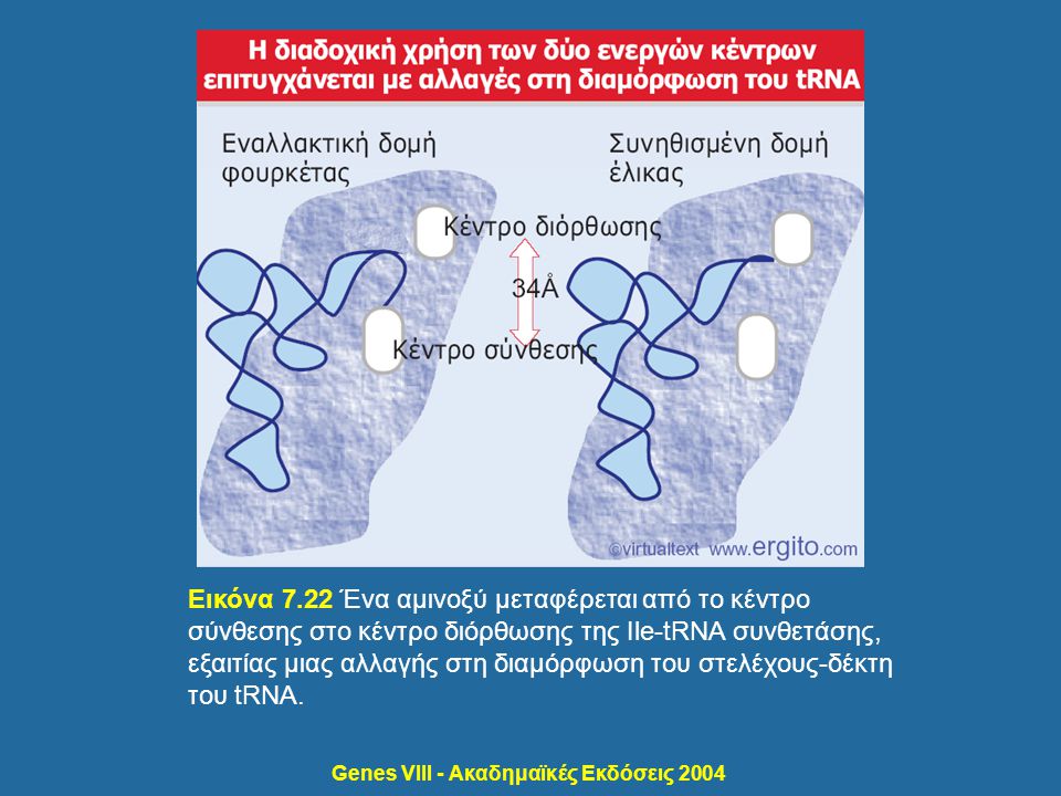 Genes VIII - Ακαδημαϊκές Εκδόσεις 2004