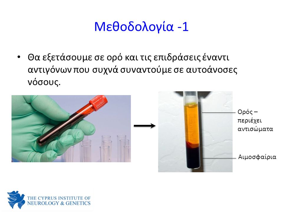 Μεθοδολογία -1 Θα εξετάσουμε σε ορό και τις επιδράσεις έναντι αντιγόνων που συχνά συναντούμε σε αυτοάνοσες νόσους.