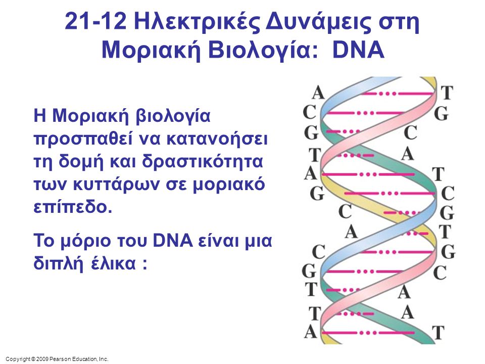 21-12 Ηλεκτρικές Δυνάμεις στη Μοριακή Βιολογία: DNA