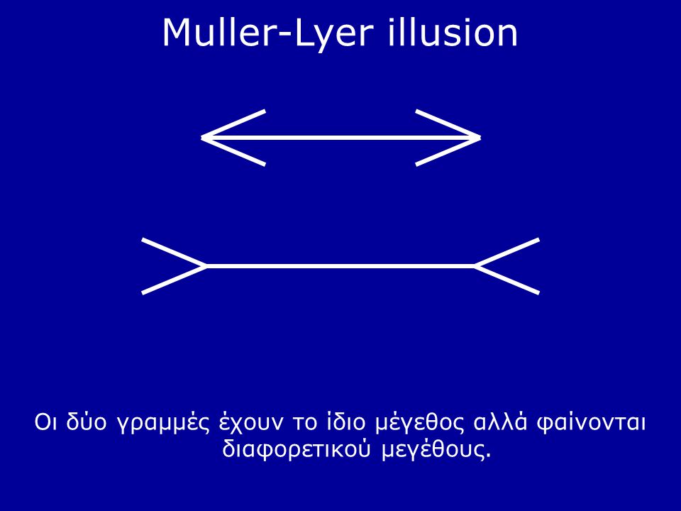 Muller-Lyer illusion Οι δύο γραμμές έχουν το ίδιο μέγεθος αλλά φαίνονται διαφορετικού μεγέθους.