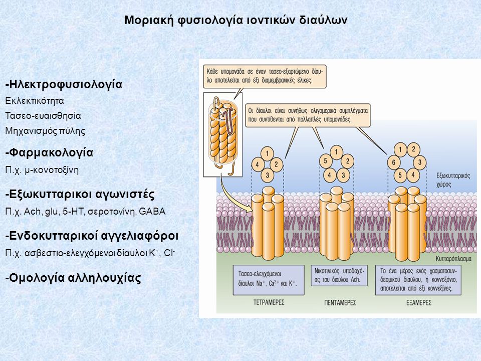 Μοριακή φυσιολογία ιοντικών διαύλων