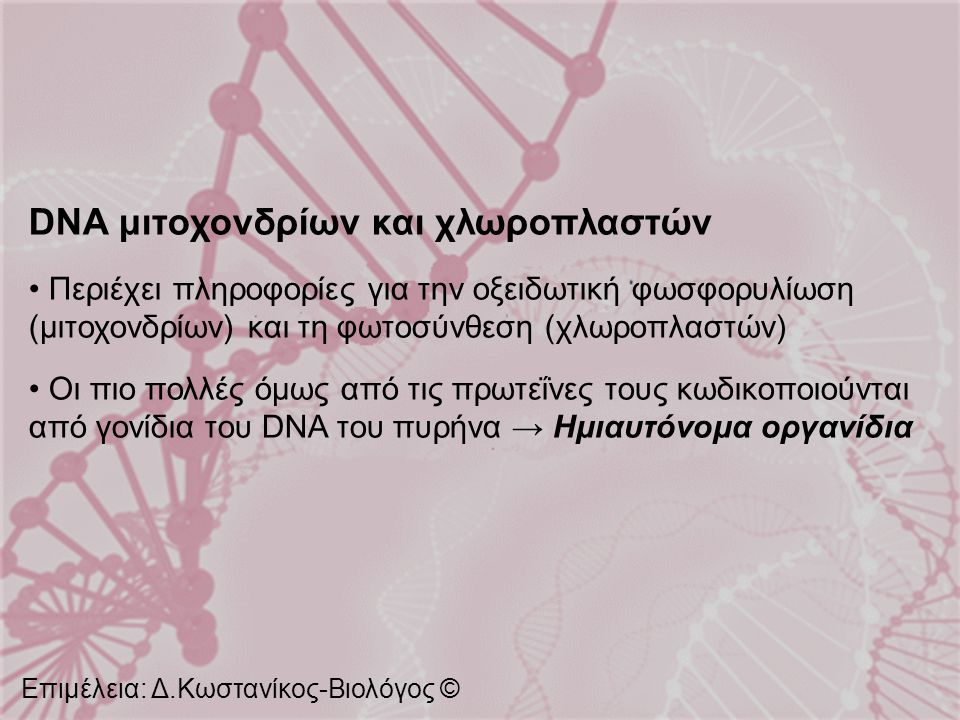 DNA μιτοχονδρίων και χλωροπλαστών