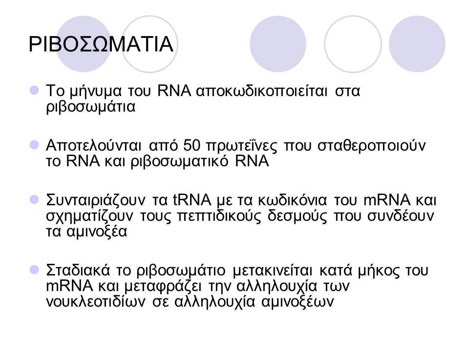 ΡΙΒΟΣΩΜΑΤΙΑ Το μήνυμα του RNA αποκωδικοποιείται στα ριβοσωμάτια