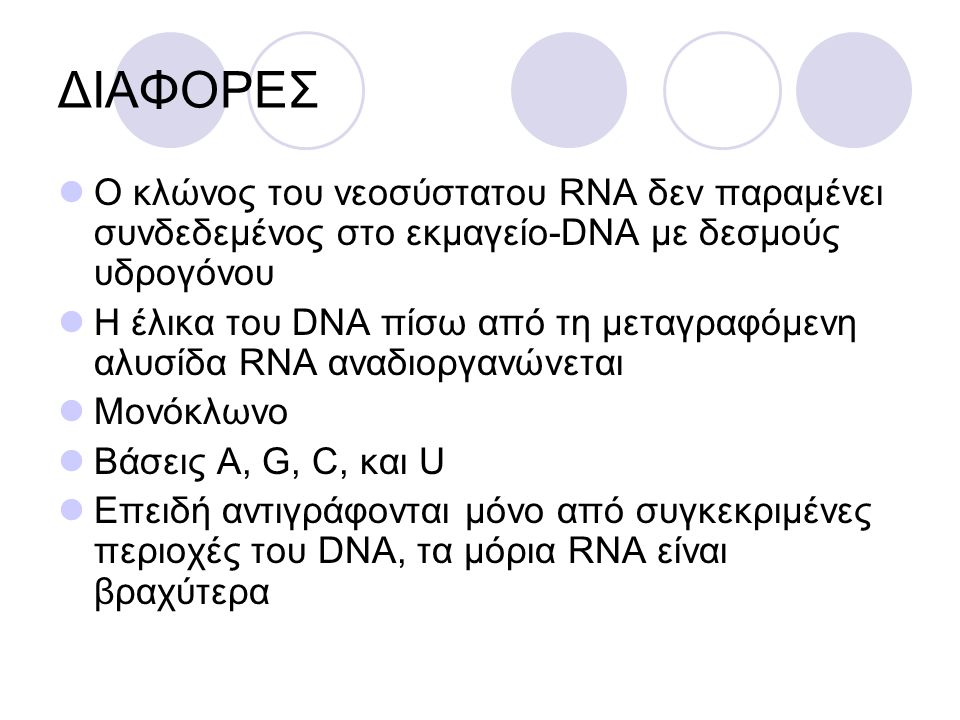 ΔΙΑΦΟΡΕΣ Ο κλώνος του νεοσύστατου RNA δεν παραμένει συνδεδεμένος στο εκμαγείο-DNA με δεσμούς υδρογόνου.