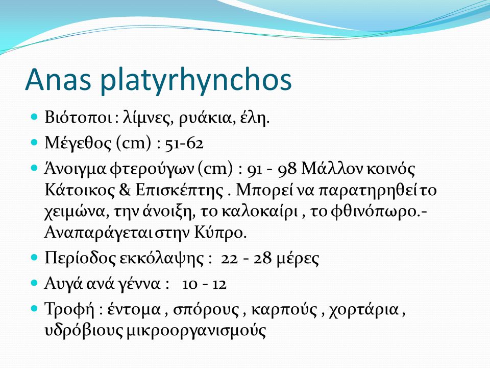 Anas platyrhynchos Βιότοποι : λίμνες, ρυάκια, έλη.