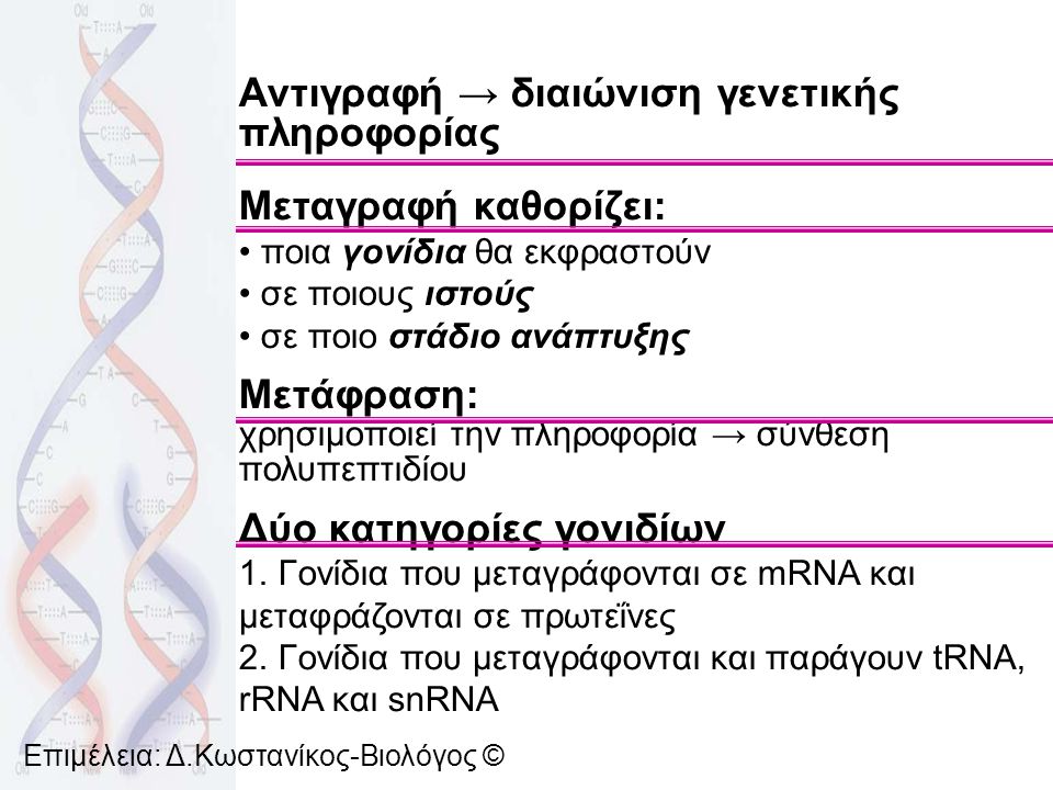 Αντιγραφή → διαιώνιση γενετικής πληροφορίας Μεταγραφή καθορίζει: