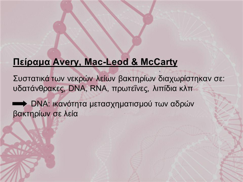 Πείραμα Avery, Mac-Leod & McCarty