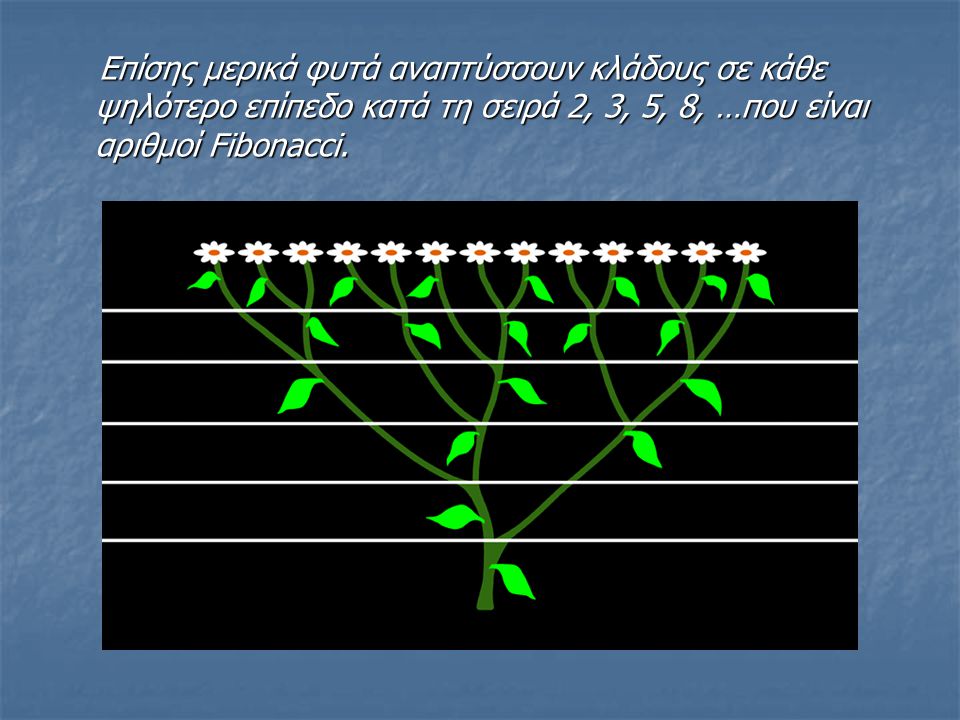 Επίσης μερικά φυτά αναπτύσσουν κλάδους σε κάθε ψηλότερο επίπεδο κατά τη σειρά 2, 3, 5, 8, …που είναι αριθμοί Fibonacci.