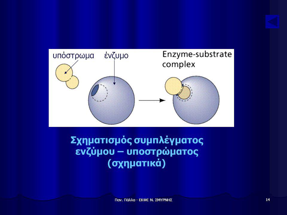 Σχηματισμός συμπλέγματος ενζύμου – υποστρώματος (σχηματικά)