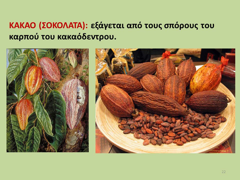 ΚΑΚΑΟ (ΣΟΚΟΛΑΤΑ): εξάγεται από τους σπόρους του καρπού του κακαόδεντρου.