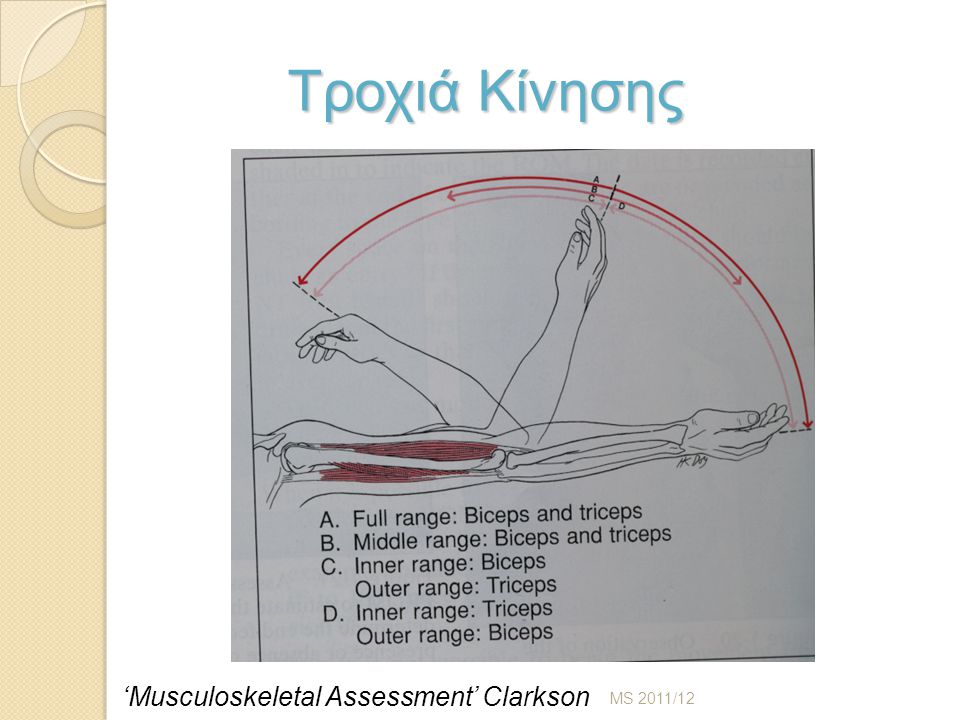 Τροχιά Κίνησης MS 2011/12 ‘Musculoskeletal Assessment’ Clarkson