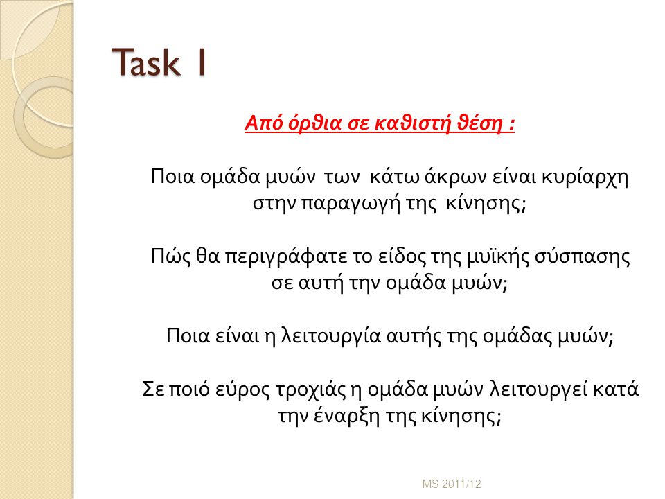 Task 1