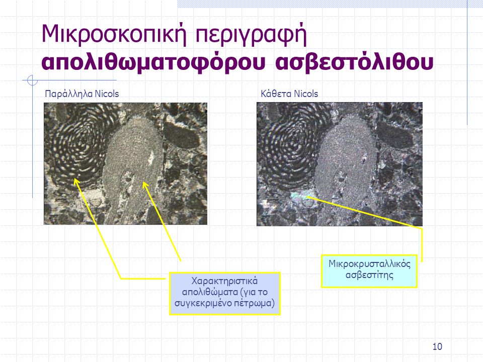 Μικροσκοπική περιγραφή απολιθωματοφόρου ασβεστόλιθου