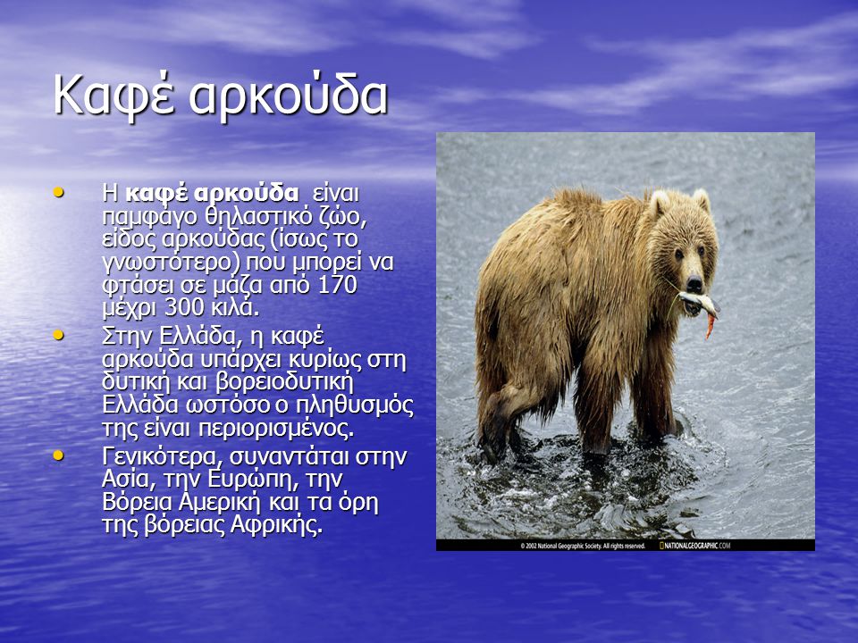 Καφέ αρκούδα Η καφέ αρκούδα είναι παμφάγο θηλαστικό ζώο, είδος αρκούδας (ίσως το γνωστότερο) που μπορεί να φτάσει σε μάζα από 170 μέχρι 300 κιλά.