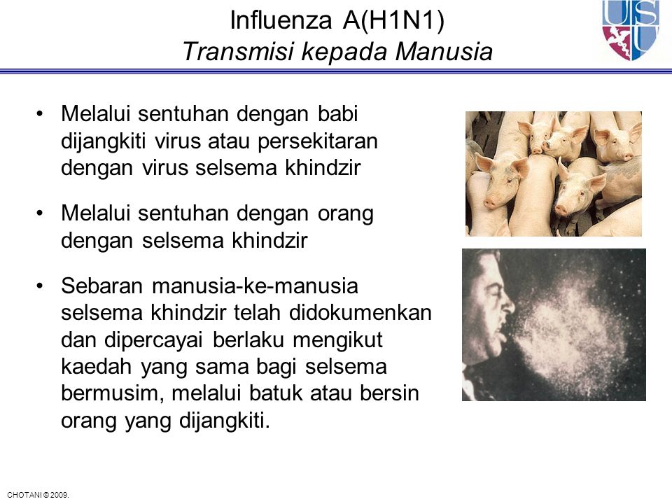 Influenza A(H1N1) Transmisi kepada Manusia