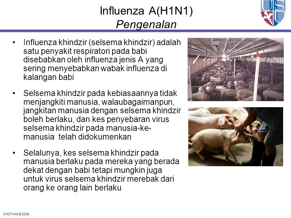 Influenza A(H1N1) Pengenalan
