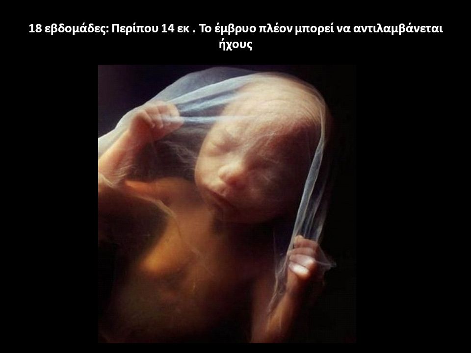 18 εβδομάδες: Περίπου 14 εκ . Το έμβρυο πλέον μπορεί να αντιλαμβάνεται ήχους