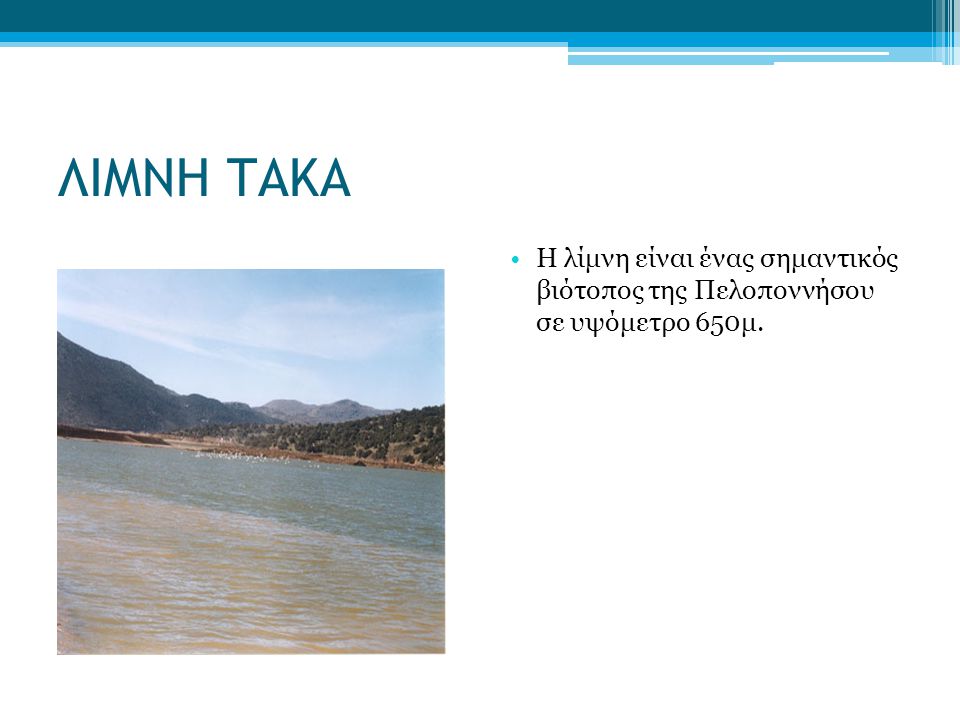 ΛΙΜΝΗ ΤΑΚΑ Η λίμνη είναι ένας σημαντικός βιότοπος της Πελοποννήσου σε υψόμετρο 650μ.